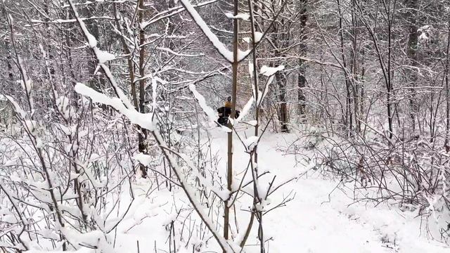 Snowy weekend - Can-Am Renegade /\ Segway Snarler смотреть онлайн