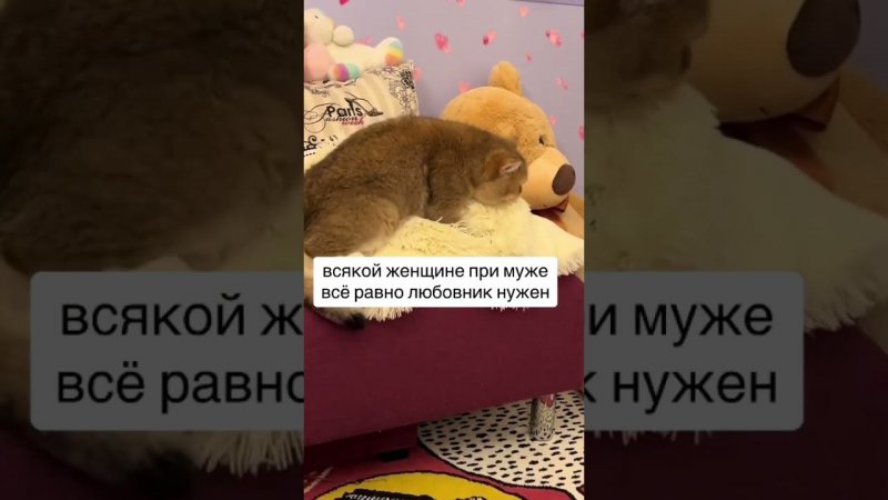 #юмор