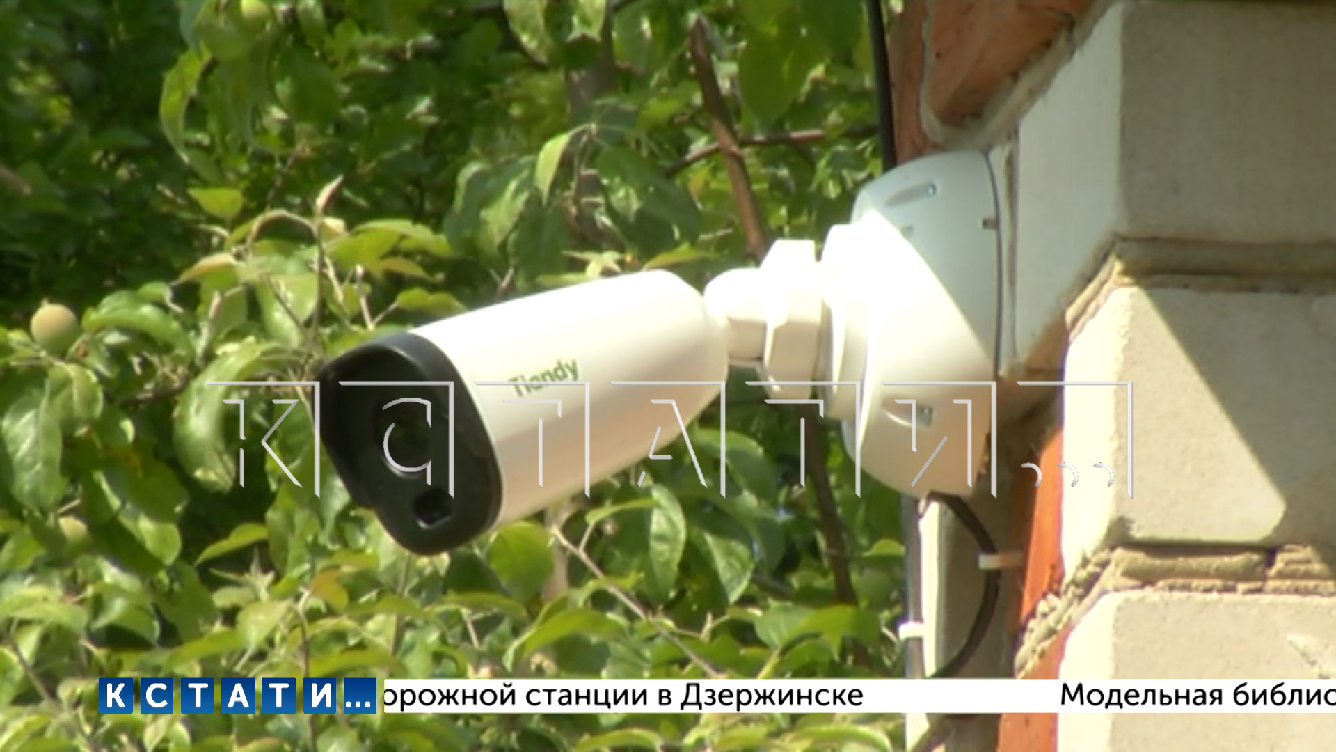 Дачу в обычно товариществе превратили в место отдыха для пациентов ПНИ, что вызвало возмущение