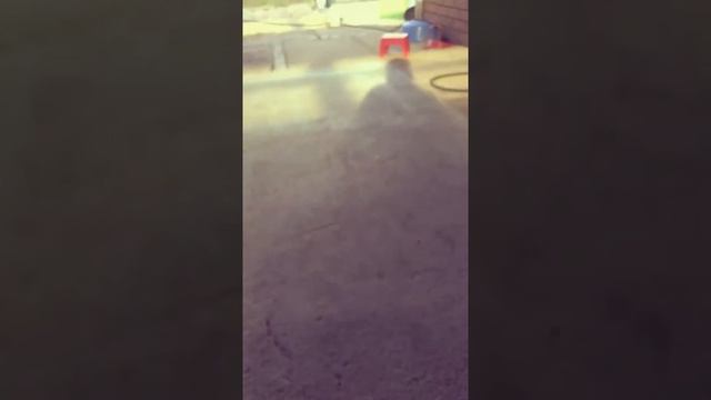 Reverse two ball soccer and brush