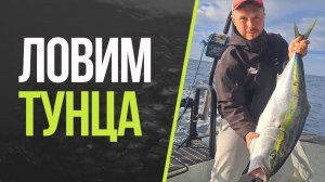 Русский Тунец! Котёл рыбы! Соревнования по ловле трофея.