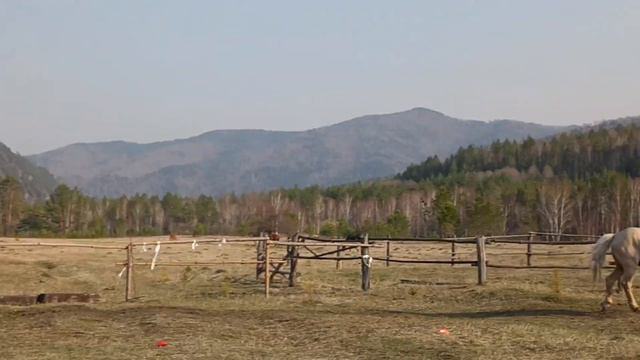 сегодня занятие в падах, кому не хватило без седла(5) смотреть онлайн