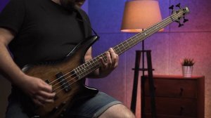 Бас-гитара Ibanez SR600E