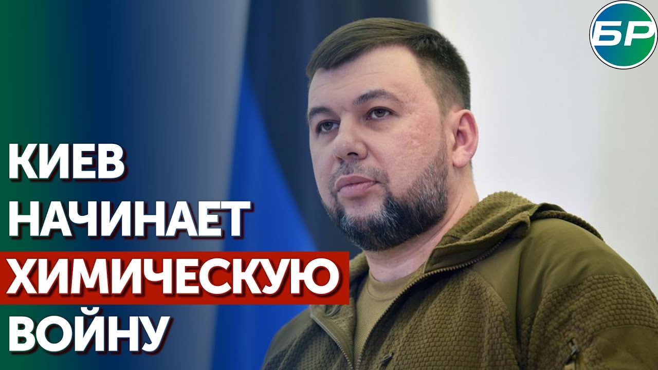 Пушилин: есть факты применения Киева химоружия