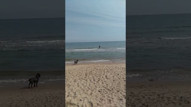 Ловля камбалы с берега Черное море смотреть онлайн