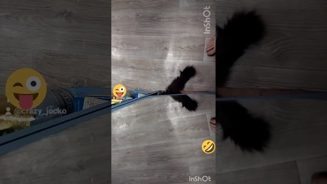 игры зазеркалья