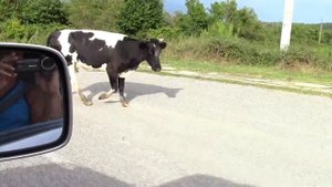 Поездка из Томска в Абхазию на машине. Путешествие на авто из Сибири через Россию в Абхазию. # 47