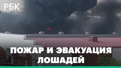 В Подмосковье загорелся конноспортивный комплекс «Левадия» — столб дыма и эвакуация лошадей