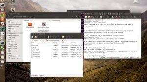 Установка Perfect World на Линукс