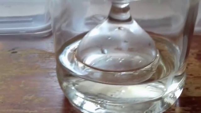 9 популярных способов проращивания семян. Эксперимент