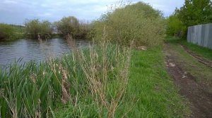 Трава для коз