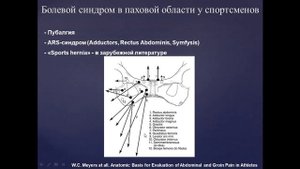 Базовый курс по МРТ  Лекция «МР семиотика повреждений тазобедренного сустава»  Лектор  Учеваткин №3