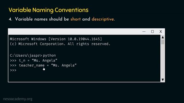 Variable Naming Conventions in Python