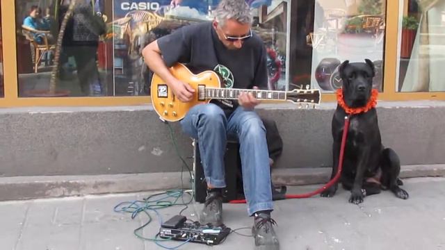 львівський віртуоз)) смотреть онлайн