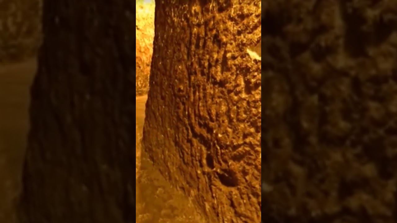 Огромный древний город под землёй - мир Каппадокии #shorts смотреть онлайн