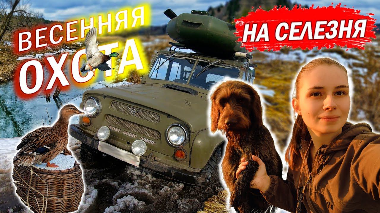Весенняя охота на селезня 2022, девушка охотник / Spring drake hunting, girl hunter смотреть онлайн