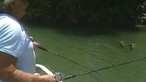 Black Bass Fishing New Guinea