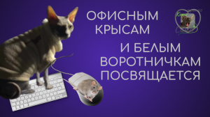 Мышь-необходимый атрибут для работы