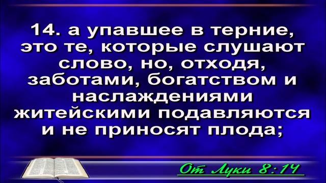 Церковь Свет Жизни г.Минск 29 октября 2017г. 10:00 смотреть онлайн