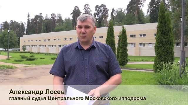 Экспертная выводка орловских рысистых лошадей 2020 г.р.