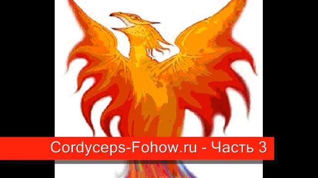Кордицепс Fohow лекция 2 - Часть 3 / 4