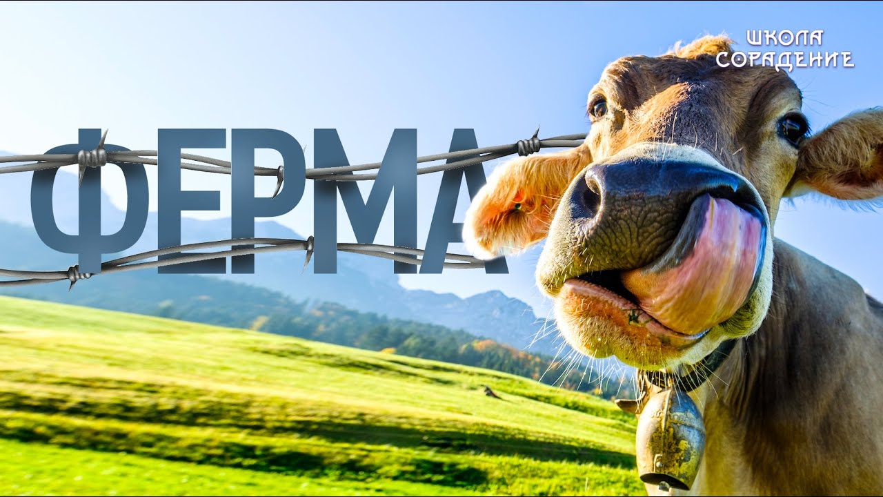 Ферма #ферма #управление #Весталия #школаCорадение смотреть онлайн