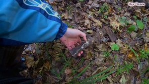 Поиск в лесу. Лесные дороги с АКА Сорекс 7281 ПРО