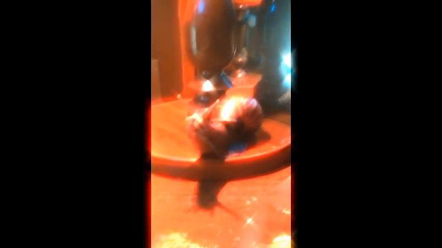 Улитка заболела! смотреть онлайн