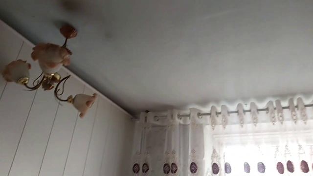1 БОЛМОЛУУ УЙ САТЫЛАТ / ОШ ШААРЫ /