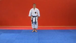 ShitoRyu Shukokai - Kata - pinan-sandan