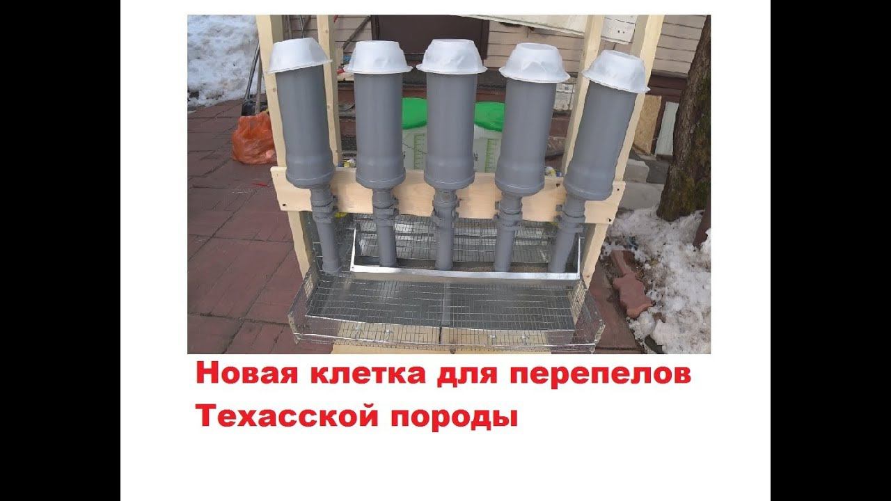 Новая клетка для перепелов Техасской породы