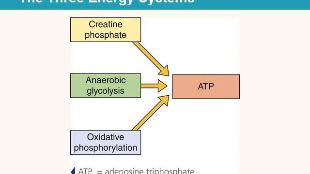 NUTD3311: Ch_2; Defining and Measuring Energy (1) смотреть онлайн