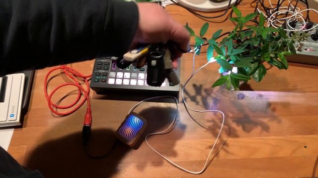 Data Garden PlantWave - galvanic MIDI hardware 1st demo/experiments смотреть онлайн