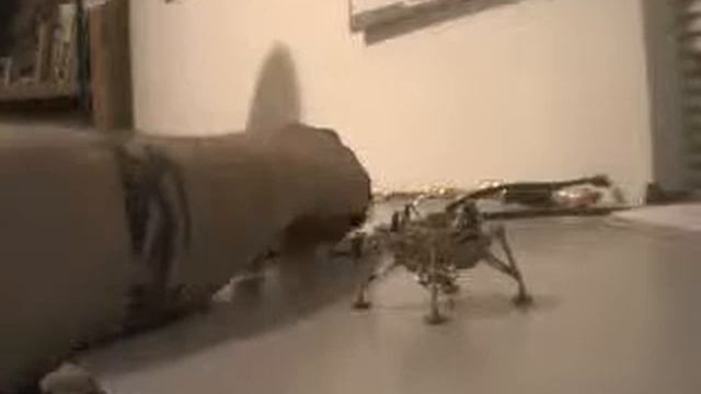 How to build a lunar lander quick. смотреть онлайн