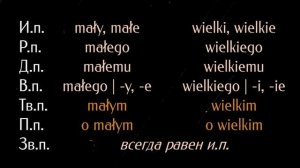 Польский язык. Урок 7. Прошедшее и будущее времена, вид глагола, прилагательные