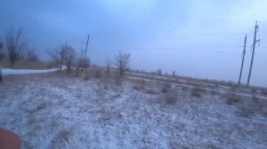 Охота на зайца. Два дня охоты с гончими. Сезон 2020-2021 № 86