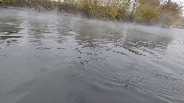 Здоровенный карп на мормышинг! В одном известном месте в узких кругах! смотреть онлайн