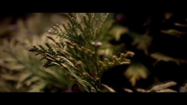 ВСЯ ИСТОРИЯ БОЛЬШОЙ ОБМАН? Зачем нужна история? смотреть онлайн