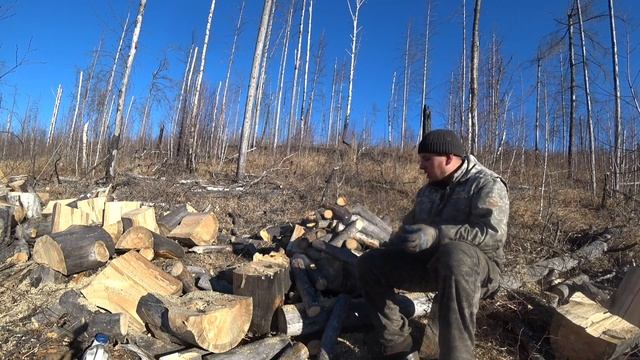 СИБИРСКИЕ МУЖИКИ на заготовке дров!!! Делаем дрова из веток!!! смотреть онлайн