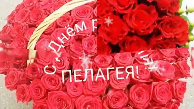 С Днем рождения,Пелагея!!! смотреть онлайн