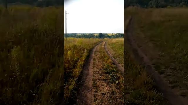 Рыбалка в тульской области, заброшенный пруд!!!!ловля линя!!!