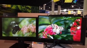 Vesa CES 2019 HDR400 vs HDR 600 vs HDR 1000