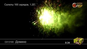 С013100 Домино