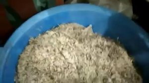Комбикорм для кур-несушек, рецепт для гранулятора.