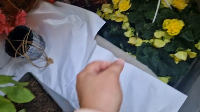 Эстония.Таллинн.Жизнь семьи.Уезжаем на дачу.Дача в Эстонии на Чудском озере.С приездом!Семейный вло
