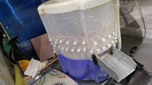 Оборудование для забоя перепелов, которое облегчит вам жизнь. Как все правильно сделать.