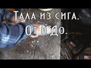 ТАЛА ИЗ СИГА ОТ И ДО. ПОДРОБНЫЙ РЕЦЕПТ ПРИГОТОВЛЕНИЯ ДАЛЬНЕВОСТОЧНОЙ ТАЛЫ