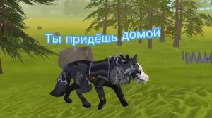 Ты стал частью легенды,что пишет...лес!