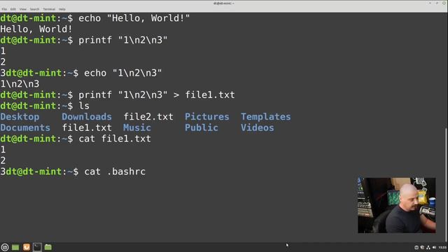 How To use The Linux Terminal a Beginner's Guide