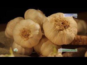 "Еда живая и мертвая": Фокусы на кухне, все об оливковом масле и правильные голубцы